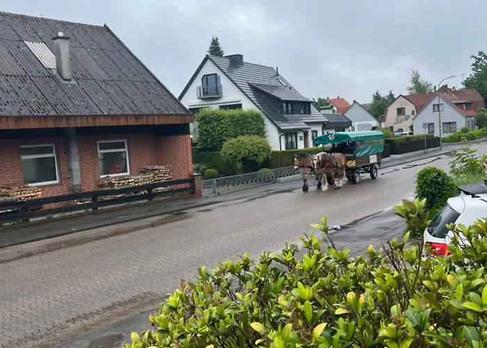 Alaa Гостевой дом